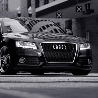 Audi logo mobile wallpaper