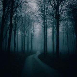 Rain road mobile wallpaper