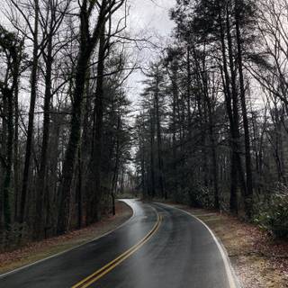 Rain road mobile wallpaper