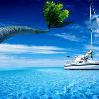 Summer boats wallpaper