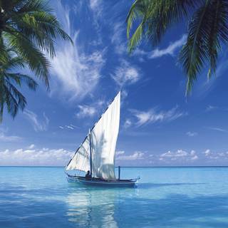 Summer boats wallpaper