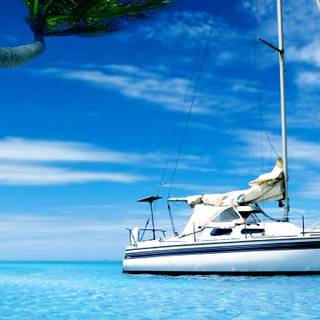 Summer boats wallpaper