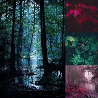 Moodboard summer wallpaper