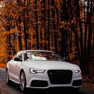 Audi R8 autumn wallpaper