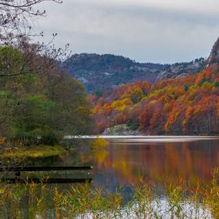 Vertical 4k autumn wallpaper