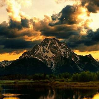 Vertical 4k autumn wallpaper