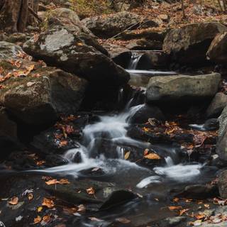 Vertical 4k autumn wallpaper