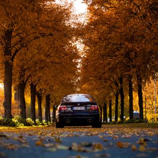 BMW car autumn wallpaper