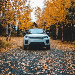 Autumn car 4k wallpaper