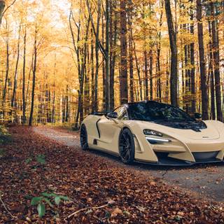 Autumn car 4k wallpaper