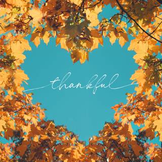 Leaves autumn desktop wallpaper