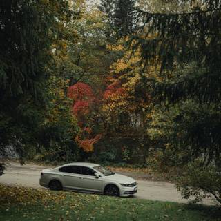 Autumn car 4k wallpaper