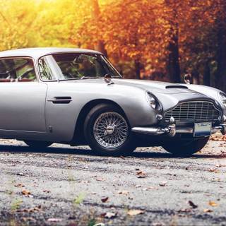 Autumn car 4k wallpaper