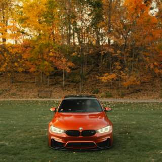 Autumn car 4k wallpaper