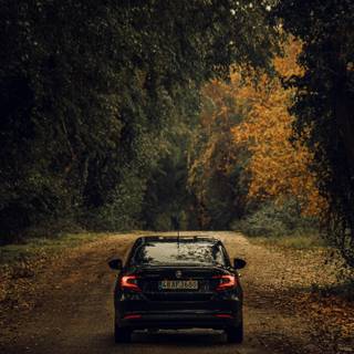 Autumn car 4k wallpaper