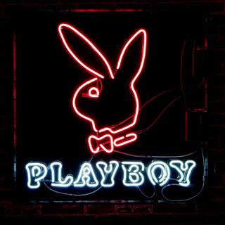 Playboy logo wallpaper