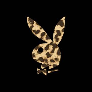 Playboy logo wallpaper