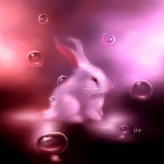 Playboy logo wallpaper