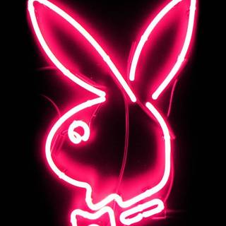 Playboy logo wallpaper