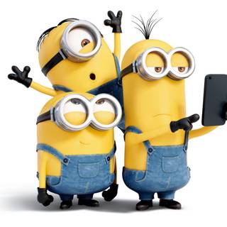 Minions 2015 wallpaper
