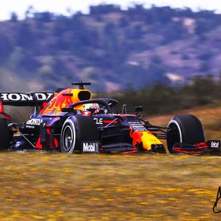 Max Verstappen PC wallpaper