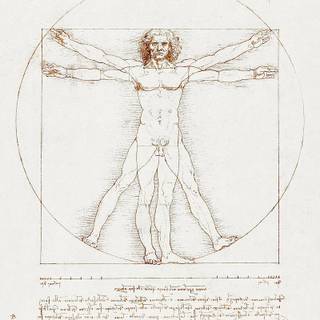 iPhone Vitruvian Man wallpaper