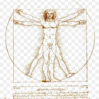 iPhone Vitruvian Man wallpaper