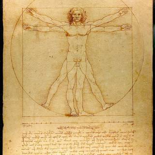 Leonardo Da Vinci Vitruvian Man iPhone wallpaper