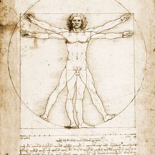 Leonardo Da Vinci Vitruvian Man iPhone wallpaper
