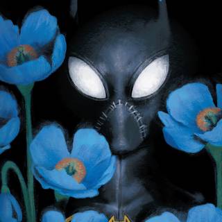 Batgirl Cassandra Cain PC wallpaper