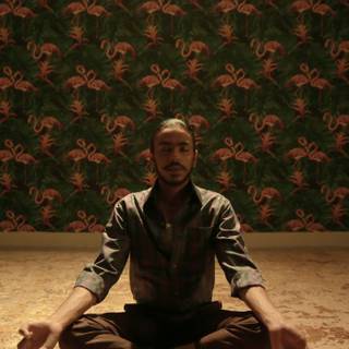 The White Tiger wallpaper