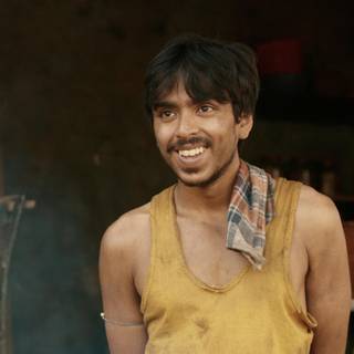 The White Tiger wallpaper