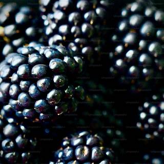 Blackberries wallpaper