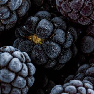 Blackberries wallpaper