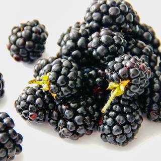 Blackberries wallpaper