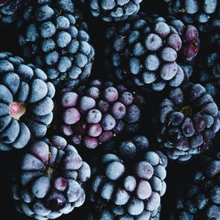 Blackberries wallpaper