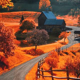 Autumn iPhone wallpaper
