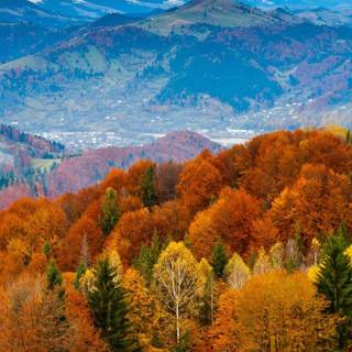 Autumn iPhone wallpaper