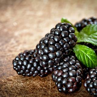 Blackberries wallpaper