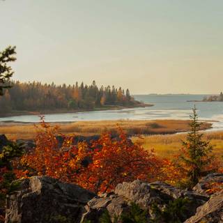 Autumn iPhone wallpaper