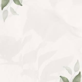 Page borders wallpaper