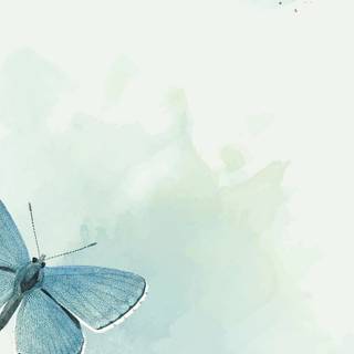 Page borders wallpaper