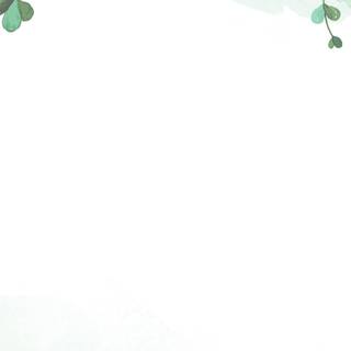 Page borders wallpaper