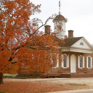 Williamsburg wallpaper