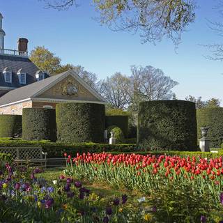 Williamsburg wallpaper