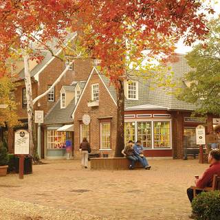 Williamsburg wallpaper