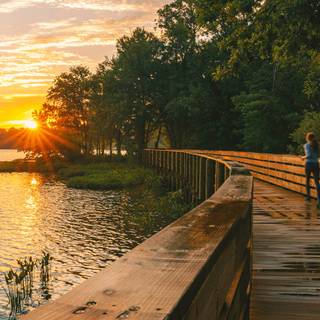 Williamsburg wallpaper