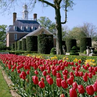 Williamsburg wallpaper