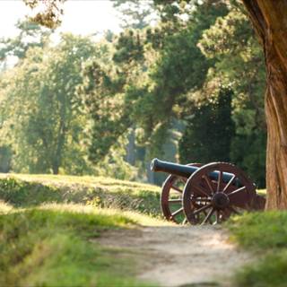 Williamsburg wallpaper