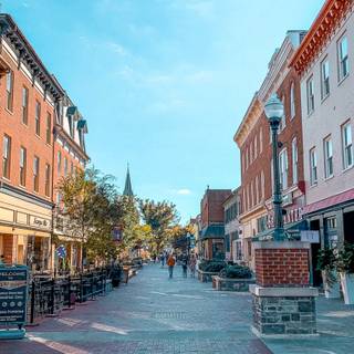 Williamsburg wallpaper